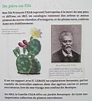 17a - J. P. M. Cels, collectionneur de plantes succulentes (2).jpg